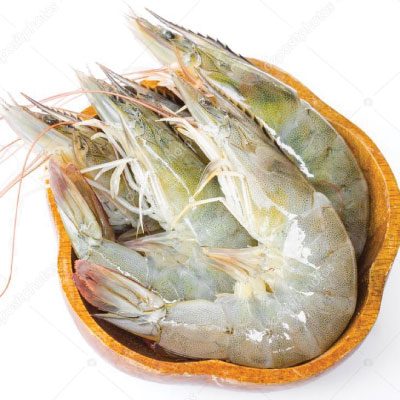 03-Wild Caught Shrimps